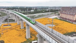 鶴崗：讓綠色成為城市最動人的底色