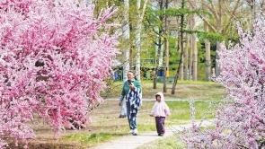 繁花似錦 扮靚鶴城