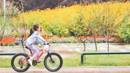 口袋公園扮靚冰城