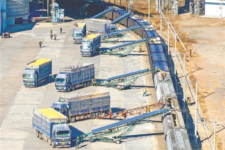 “北糧南運”正當時