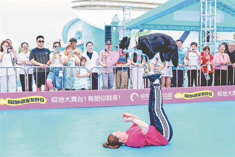 哈爾濱極地公園開啟首屆“極地·萌寵友好日”