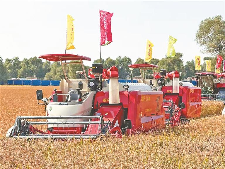 黑龍江：豐饒黑土 歡慶豐收