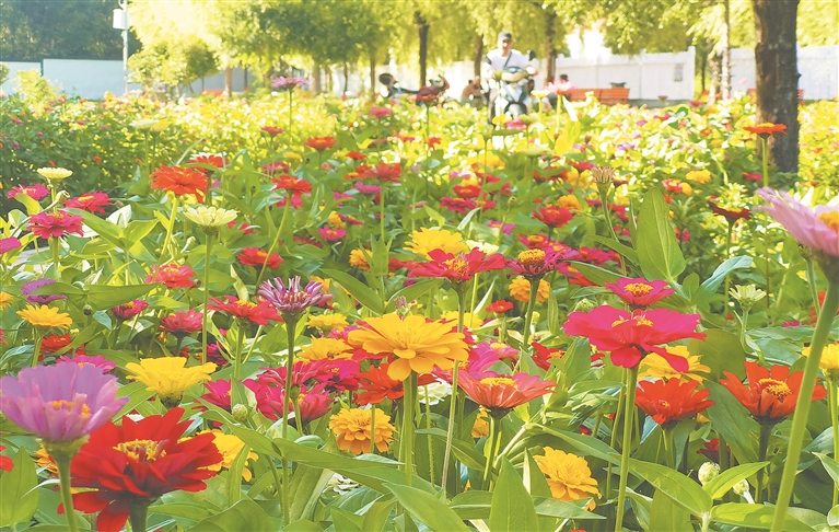 鶴崗:讓綠色成為城市最動人的底色