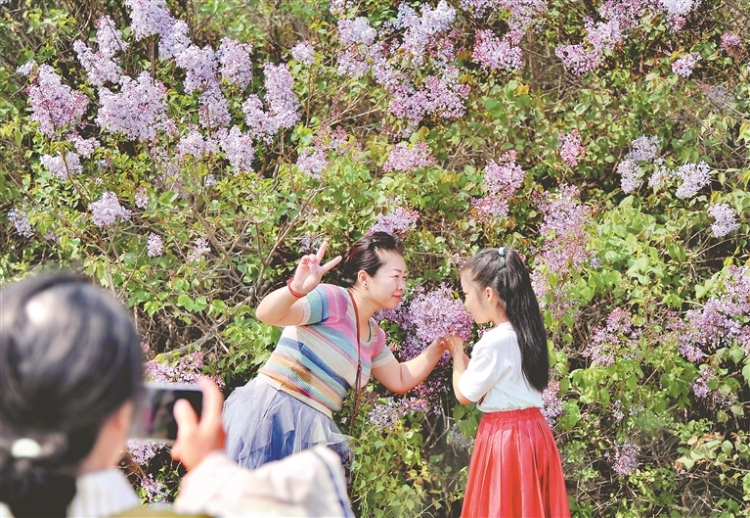 陪媽媽去賞花