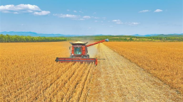 大豆單産提升背後的科技密碼