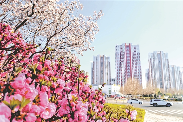 繁花似錦 扮靚鶴城