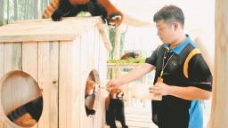 來極地公園打卡小熊貓體驗館