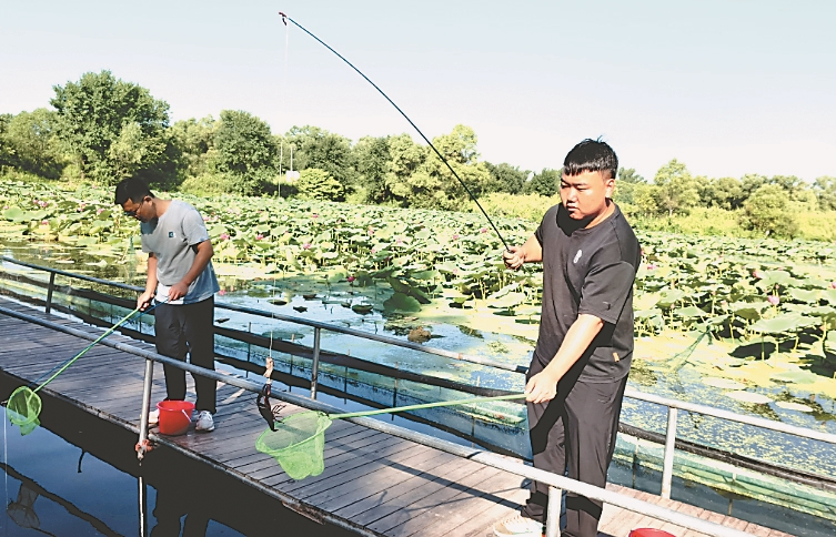 寒地小龍蝦“遊”出致富新路徑