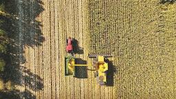 金色田野奏響豐收交響曲