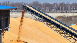 全省累計投放秋糧收購貸款超190億元_fororder_a52747c9-3637-4f2d-8d42-a159a58ff945