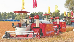 黑龍江：豐饒黑土 歡慶豐收