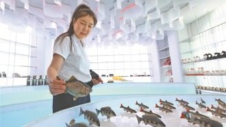 黑龍江撫遠：特色文創入駐三江自然生態館