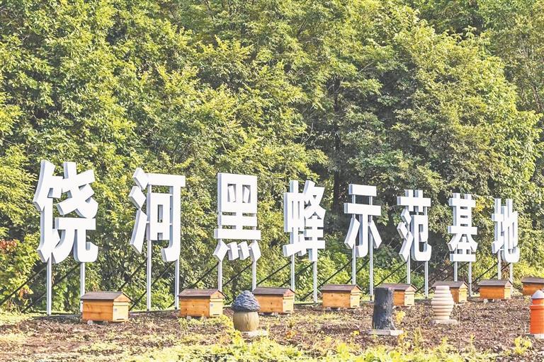 地理標誌創新發展 為鄉村振興助力賦能