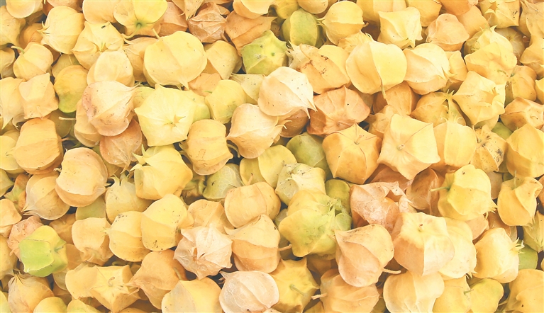 海倫甜菇娘熟了_fororder_a50f872f-d67e-4022-826a-5dfb86505d3a