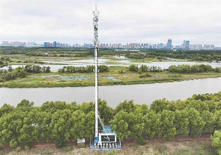 “零碳”基站助力“綠色龍江”建設