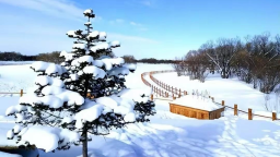 黑龍江：深挖冰雪資源 催熱冬日經濟_fororder_3