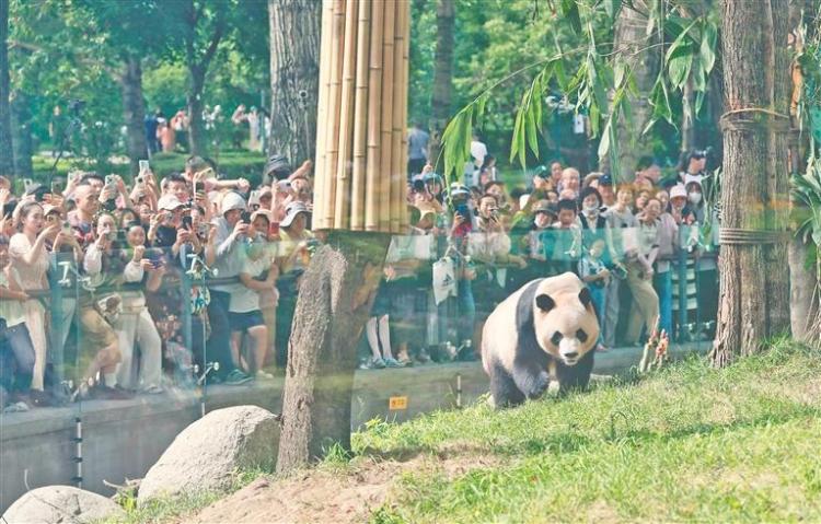 秋來冰城 邂逅山河