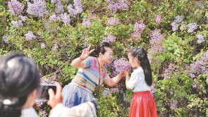 陪媽媽去賞花