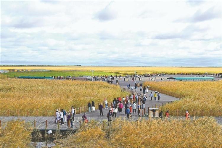 齊齊哈爾：創新消費場景 激發市場活力