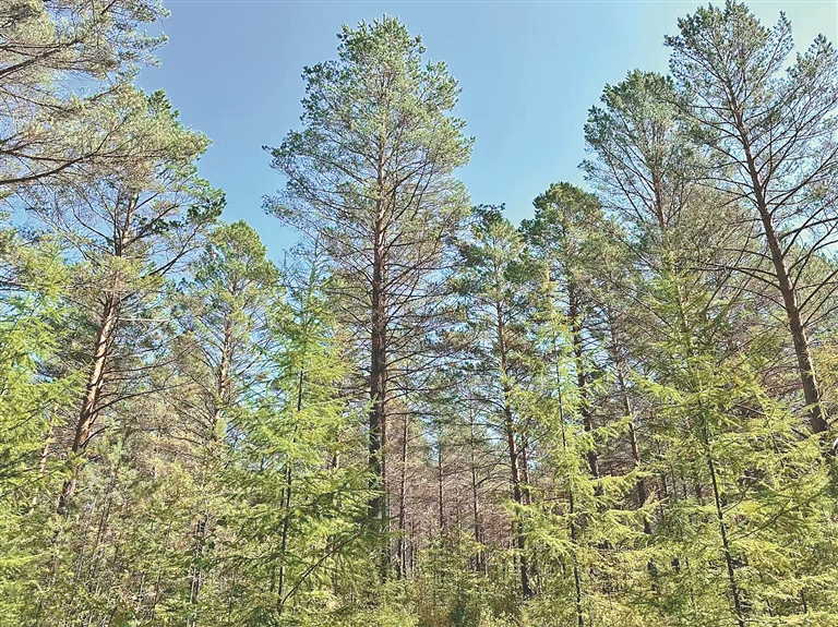 積極踐行“兩山”理念 綠水青山底色更亮 金山銀山成色更足