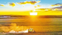 北大荒交出高品質秋收答卷