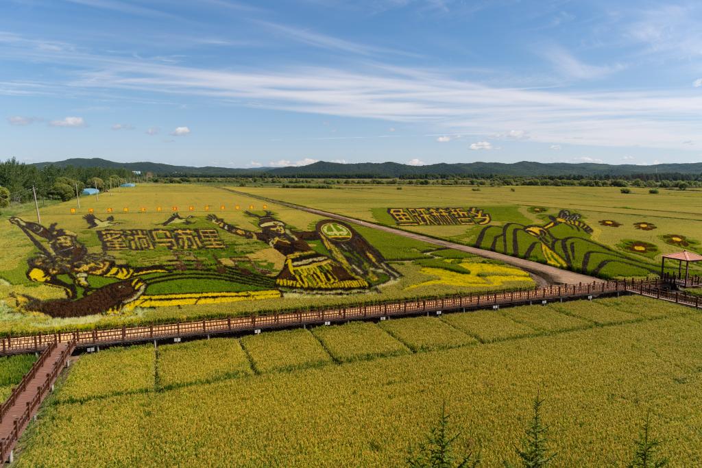 赫哲族唱響新船歌