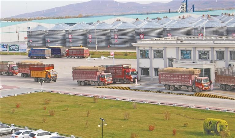 全省糧儲完好倉容超4200億斤