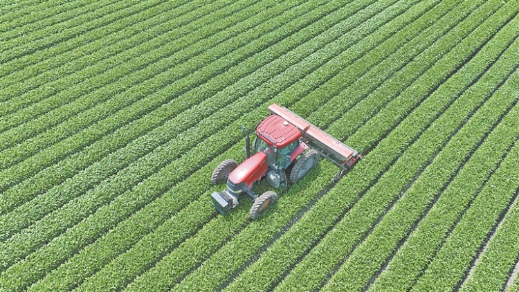豆海綠波蕩 科技夏管忙