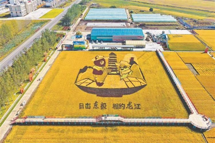 撫遠：守綠水青山底色 築糧食滿倉盛景