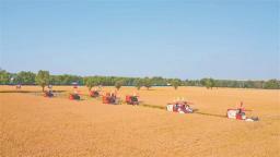 中國農民豐收節”黑龍江省主場活動在閆家崗農場舉行