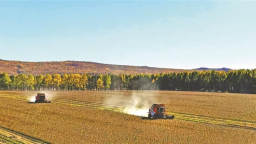 黑河大豆玉米平均單産創新高