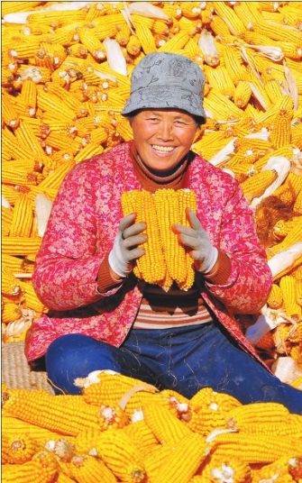 雙鴨山闖出特色現代農業新天地