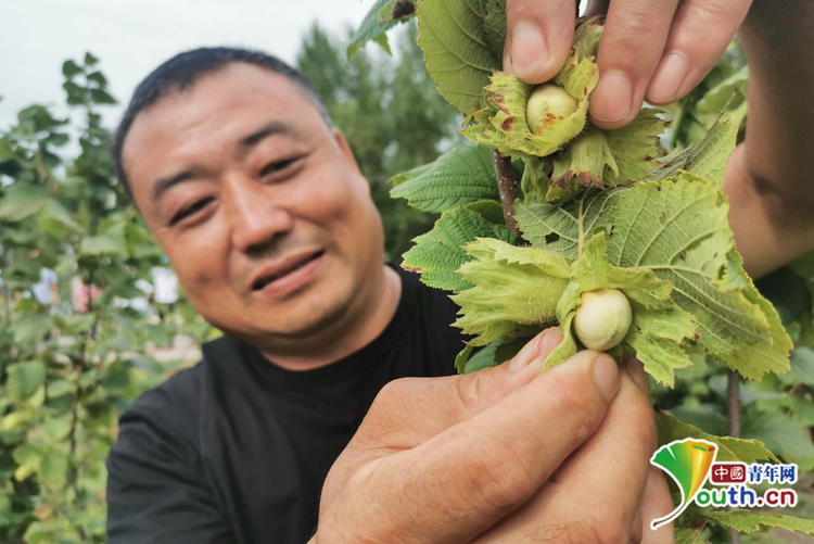 哈爾濱通河縣：鄉風文明促振興