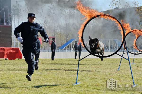 超燃！黑龍江出入境邊防檢查總站完成業務比武競賽