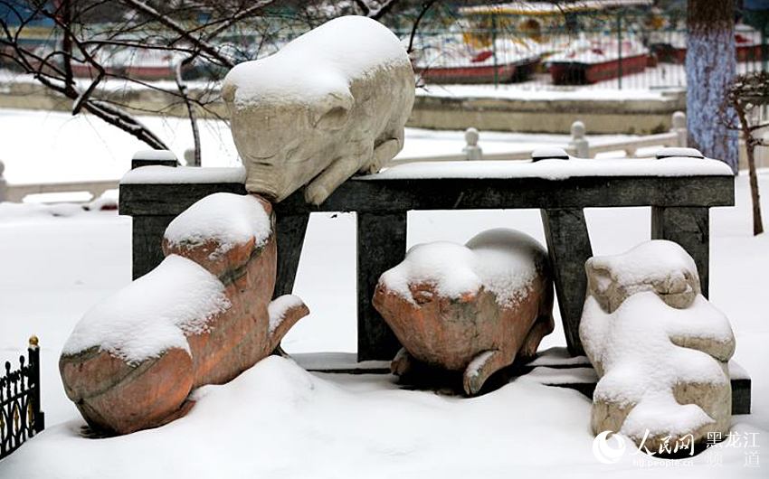 春分時節哈爾濱迎來“冬雪” 最高氣溫0℃（組圖）