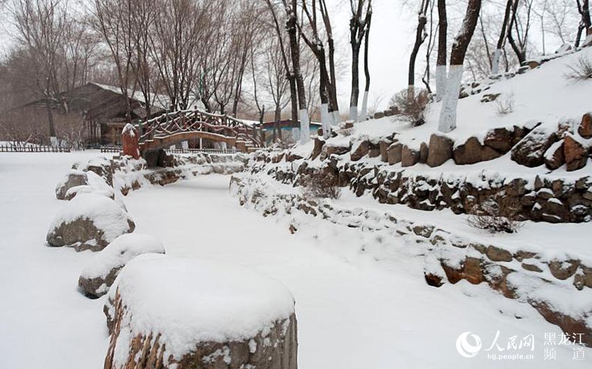 春分時節哈爾濱迎來“冬雪” 最高氣溫0℃（組圖）