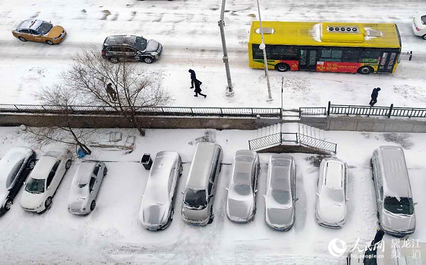 春分時節哈爾濱迎來“冬雪” 最高氣溫0℃（組圖）