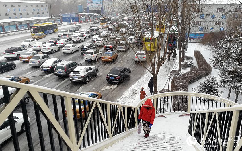 春分時節哈爾濱迎來“冬雪” 最高氣溫0℃（組圖）