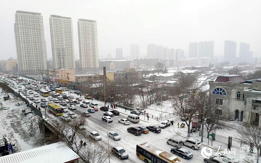 春分時節哈爾濱迎來“冬雪” 最高氣溫0℃（組圖）