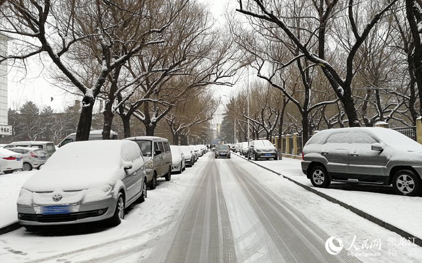 春分時節哈爾濱迎來“冬雪” 最高氣溫0℃（組圖）