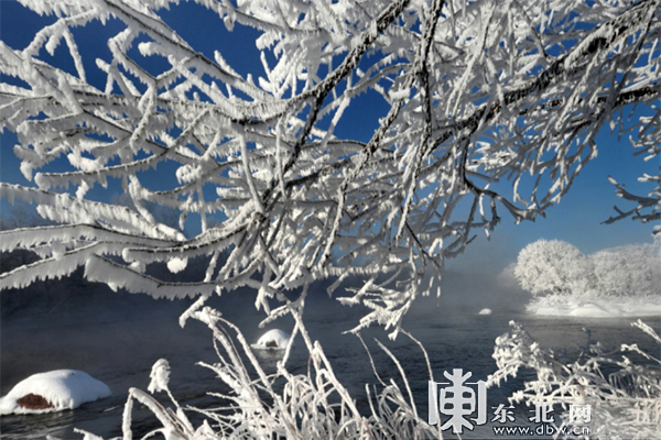 下雪啦！黑龍江奉上冰雪百景絢麗景致