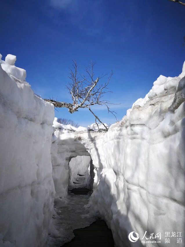鳳凰山建成100米長的冰雪隧道 五月可玩雪