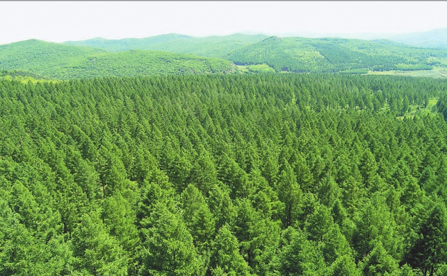 造一座青山贏一座“金山”