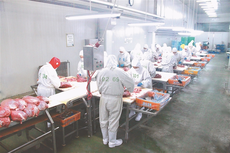 探索縣域招商新模式 龍江縣在“豐羽”