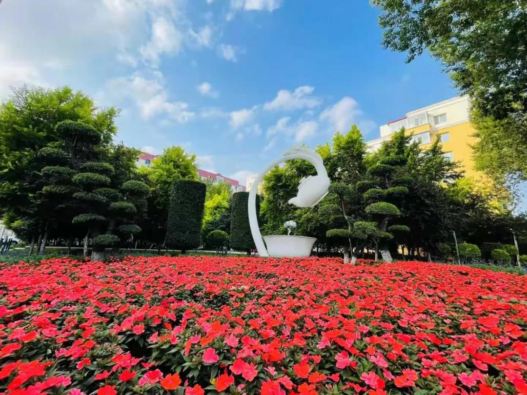 “紅色風景”處處見 數十萬株繁花扮靚道外_fororder_圖片2