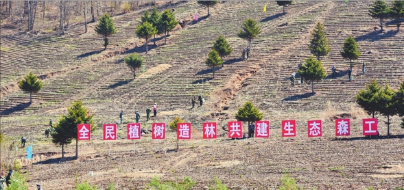 保護修復生態打造綠色銀行 龍江森工集團傾力推進植樹造林和林業産業發展