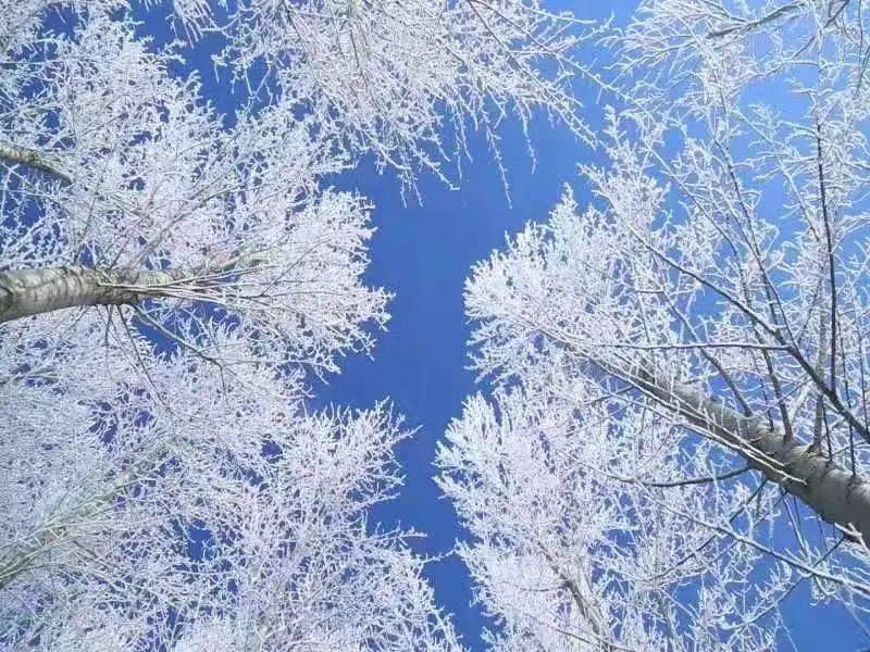 “中國天然氧吧”名單公示，黑龍江省多地上榜！