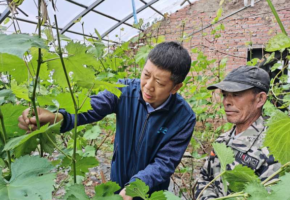 B【黑龍江】哈爾濱市延壽縣團山村駐村扶貧工作隊隊長許雪瑩：扶貧路上的“拼命三郎”