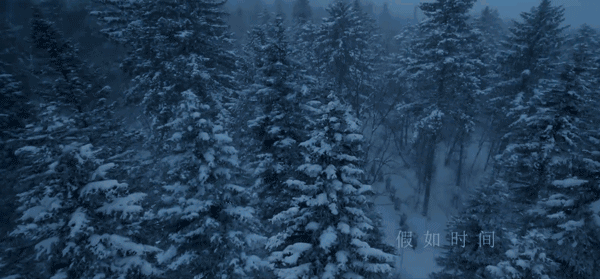 雪鄉12月29日開園，冬日實力派浪漫回歸！