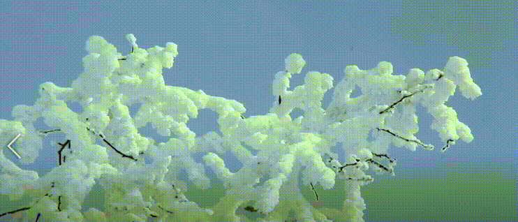 雪鄉12月29日開園，冬日實力派浪漫回歸！